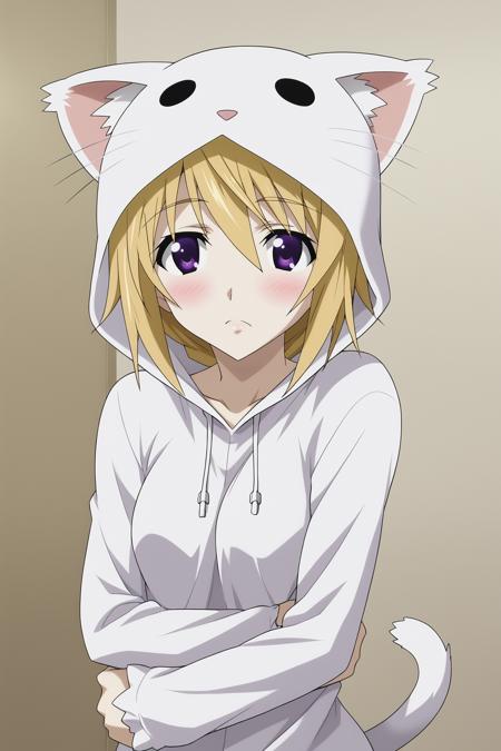 Charlotte Dunois - IS: Infinite Stratos  - SDXL Lora