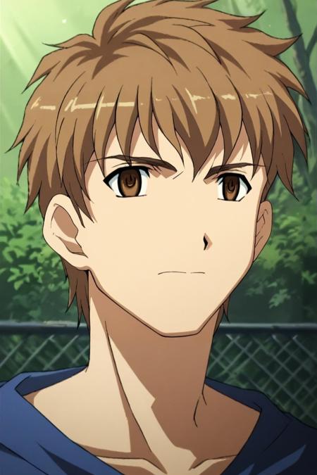 Fate Series Anime Style LoRA