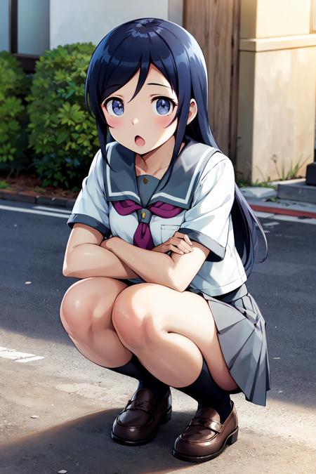 Aragaki Ayase 新垣あやせ / Ore no Imouto ga Konnani Kawaii Wake ga Nai