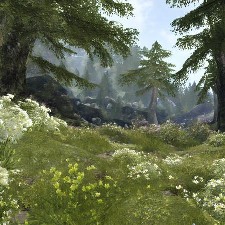 Second Life (Anime Version)