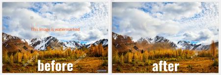 Watermark Remover