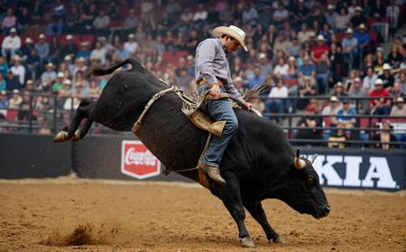 Professional Bull Riding (PBR)