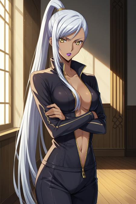 Villetta Nu (Code Geass)版本Villetta Nu V1 (ID: 605111)