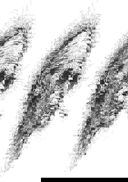 Nova-Scribble art