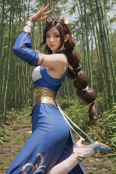 Cai Wenji Dynasty Warriors
