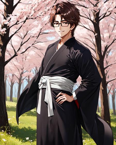 Aizen Sosuke(Bleach) (3 Outfits) | 1.5 SD/PONY/Illustrious版本SD 1.5 (ID: 451932)
