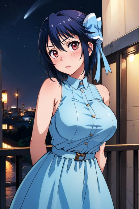 Seishirou Tsugumi/鶫 誠士郎 (Nisekoi: False Love) LoRA | 3+ Outfits