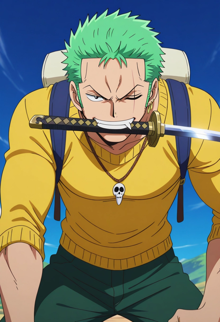 Zoro Roronoa | One Piece