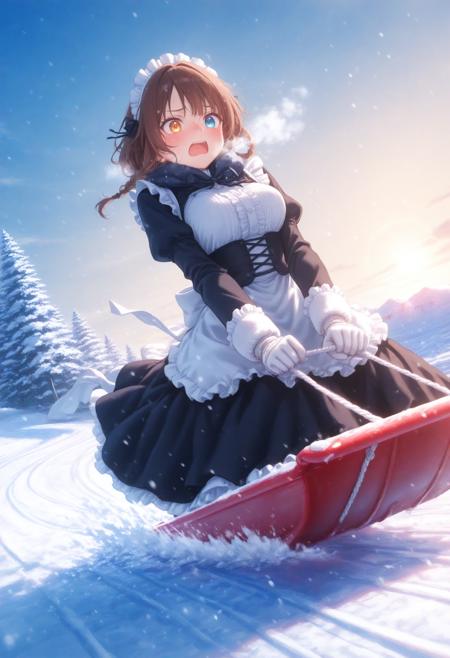 sled / ソリ / スノースライダー