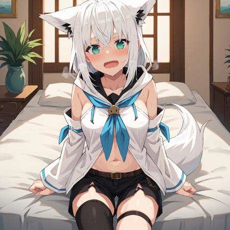 [Pony] Shirakami Fubuki (白上フブキ) / Hololive