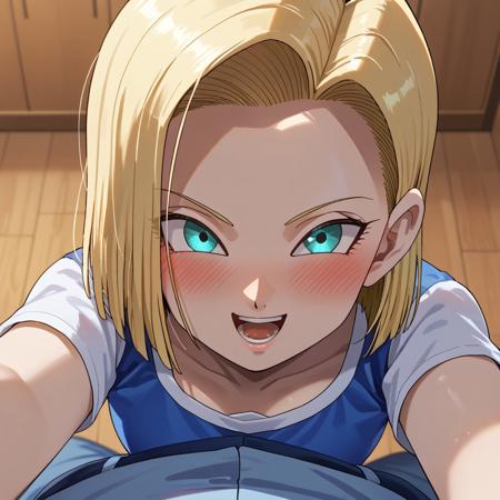 Android 18 (from Dragon Ball Super) PD IL