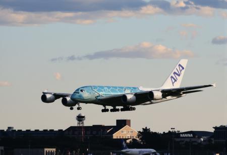 A380 Flying Honu / A380 フライング・ホヌ
