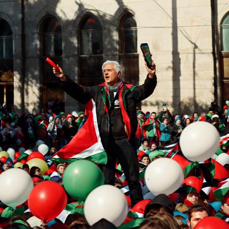 Palestine Flag
