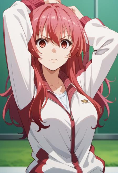 Stella Vermillion | Chivalry of a Failed Knight | 落第騎士の英雄譚