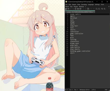 Image/Video Booru Tagger (WD14 + DeepDanbooru + E621)