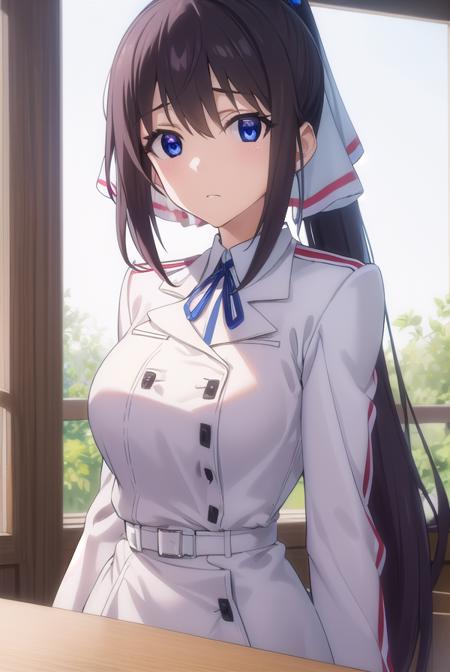 Houki Shinonono (篠ノ之 箒) - Infinite Stratos (IS 〈インフィニット・ストラトス〉)
