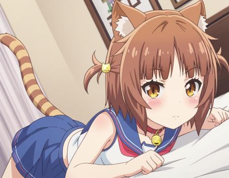 Azuki (アズキ) - Nekopara (ネコぱら)