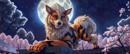 Furryrock