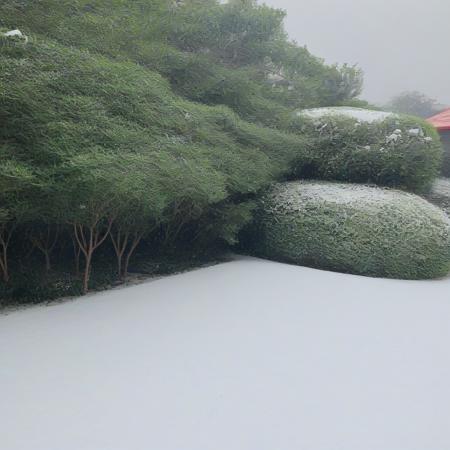 Snowy Green Belt