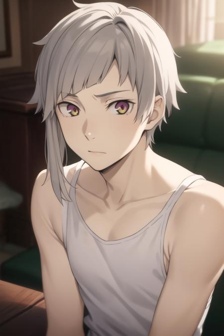 Nakajima Atsushi / Bungou Stray Dogs