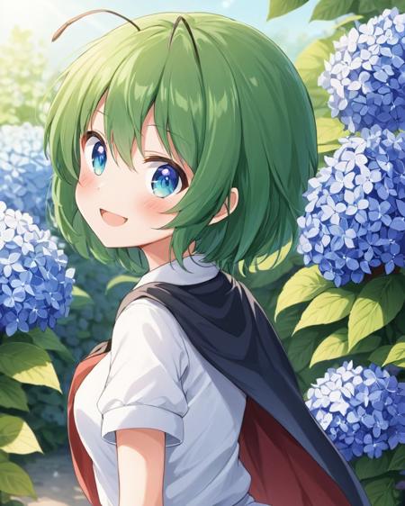 XL | touhou|东方 projcet 莉格露·奈特巴格/リグル・ナイトバグ/Wriggle Nightbug