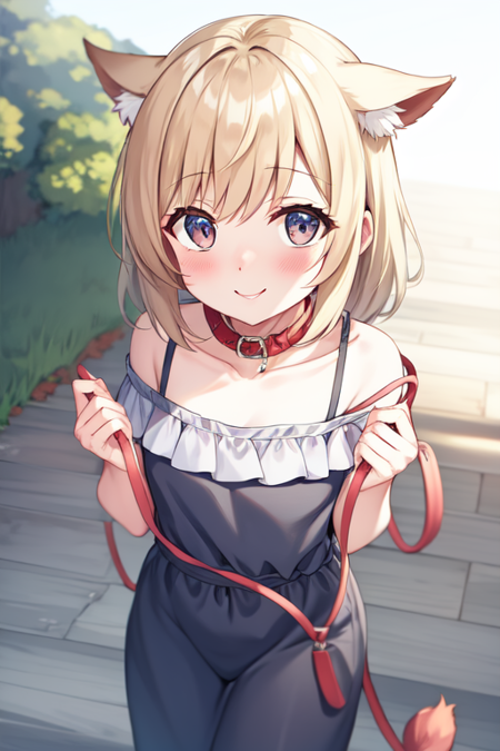 Let's Go For a Walk