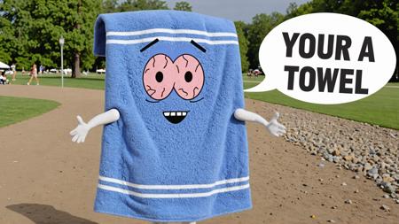 Towelie