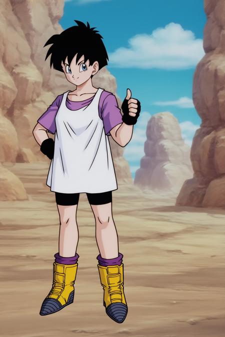 Videl - Dragon Ball Z / Dragon Ball Super