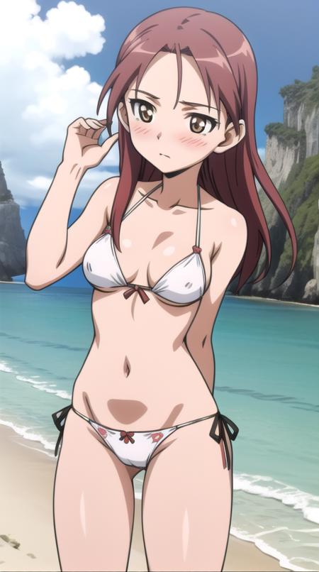 Strike Witches 501st: Minna-Dietlinde Wilcke