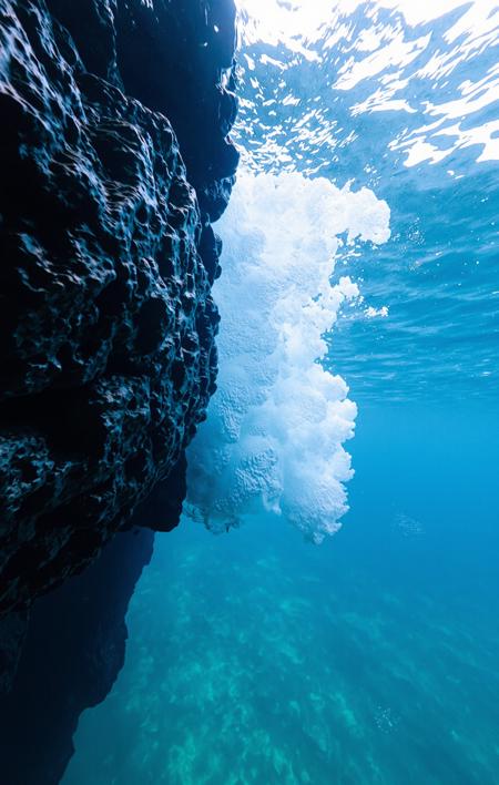 FLUX Underwater Photography - The Aesthetic World of the Deep Sea