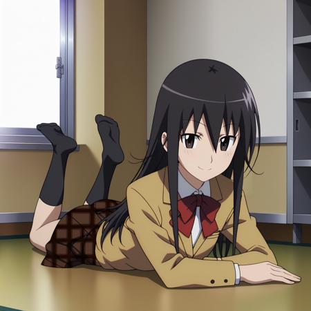 Shino Amakusa (Seitokai Yakuindomo) XL pony LORA