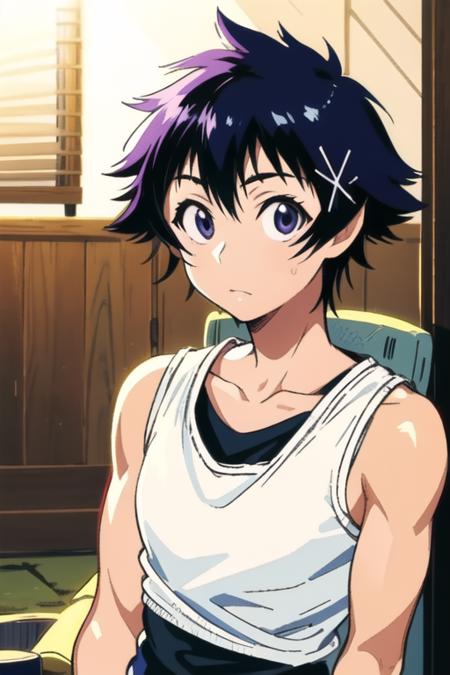 Raku Ichijou / Nisekoi