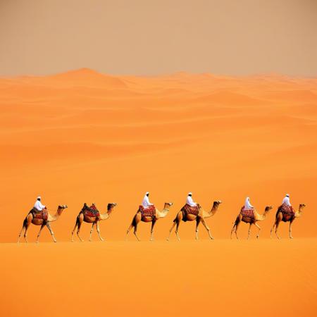 Nature Landscapes