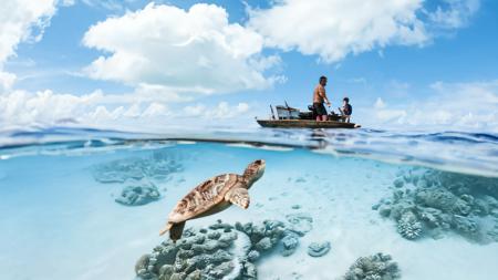 Split-shot underwater photography XL