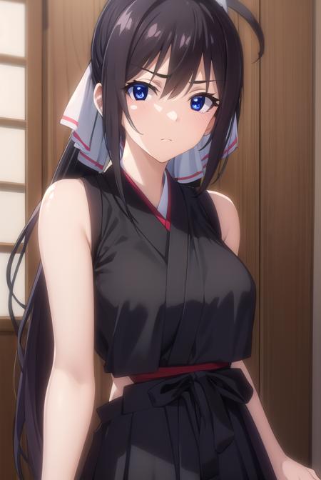 Houki Shinonono (篠ノ之 箒) - Infinite Stratos (IS 〈インフィニット・ストラトス〉)