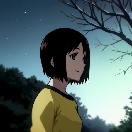 Nakahara Misaki / Welcome to the NHK / original anime style
