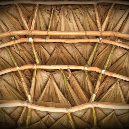 HH-arch_bamboobuilding_XL