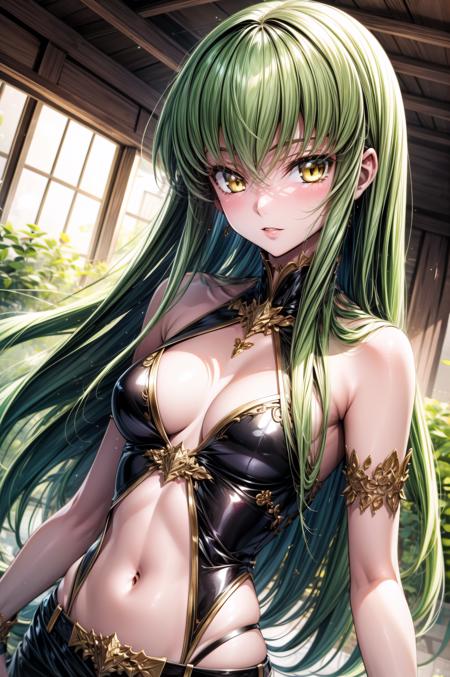 C.C. | Code Geass: Hangyaku no Lelouch | PonyXL and sd 1.5