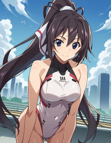 Houki Shinonono (篠ノ之 箒) - Infinite Stratos (IS 〈インフィニット・ストラトス〉)