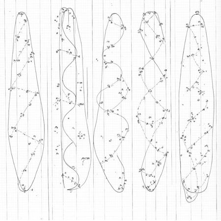 5 WALKA DIAGRAMS版本V1 (ID: 935111)