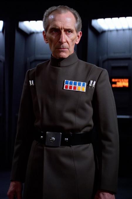 Grand Moff Tarkin版本V1 (ID: 1147628)