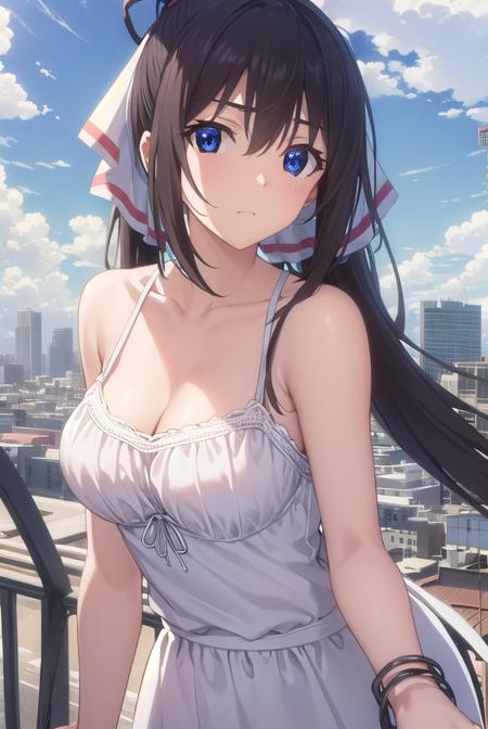 Houki Shinonono (篠ノ之 箒) - Infinite Stratos (IS 〈インフィニット・ストラトス〉)