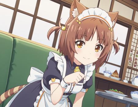 Azuki (アズキ) - Nekopara (ネコぱら)