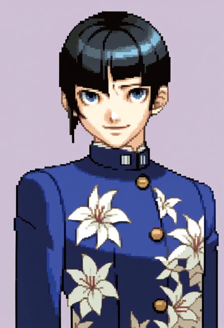 Ace Attorney Portrait Style [Pony]
