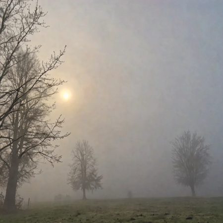 Just Some Weather