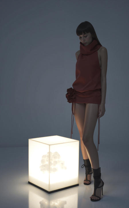 Fanci Club - Collection [Flux]版本Lady Bird (ID: 1097803)