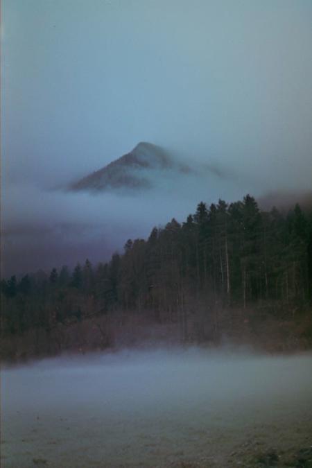 c41_zenit_kodakgold