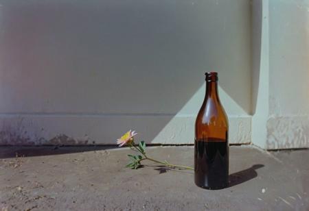 belomo_kodak_gold