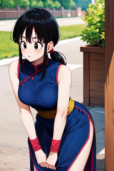 Chi-Chi チチ / Dragon Ball