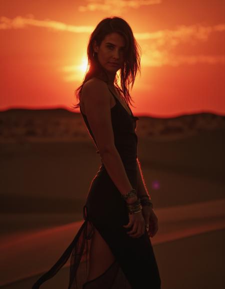 Cobie Smulders Flux